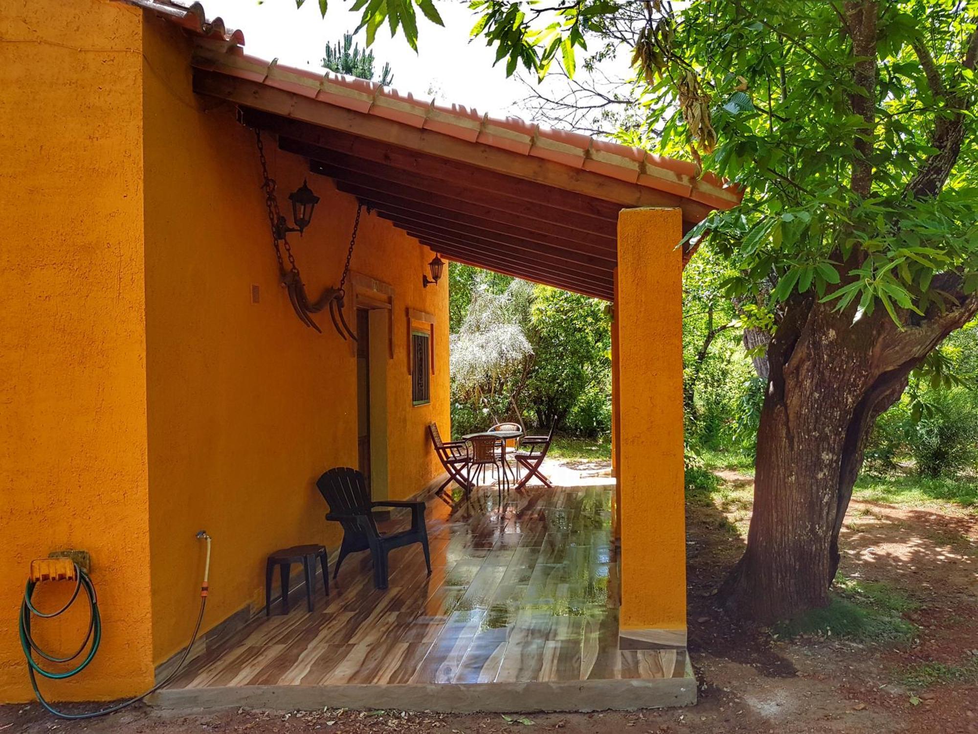 La Virinuela (adults Only) *