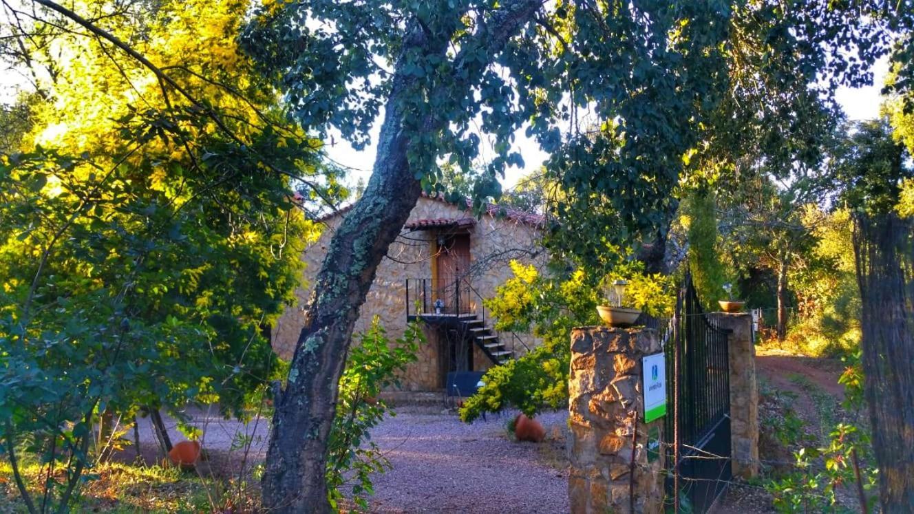 La Virinuela (adults Only)