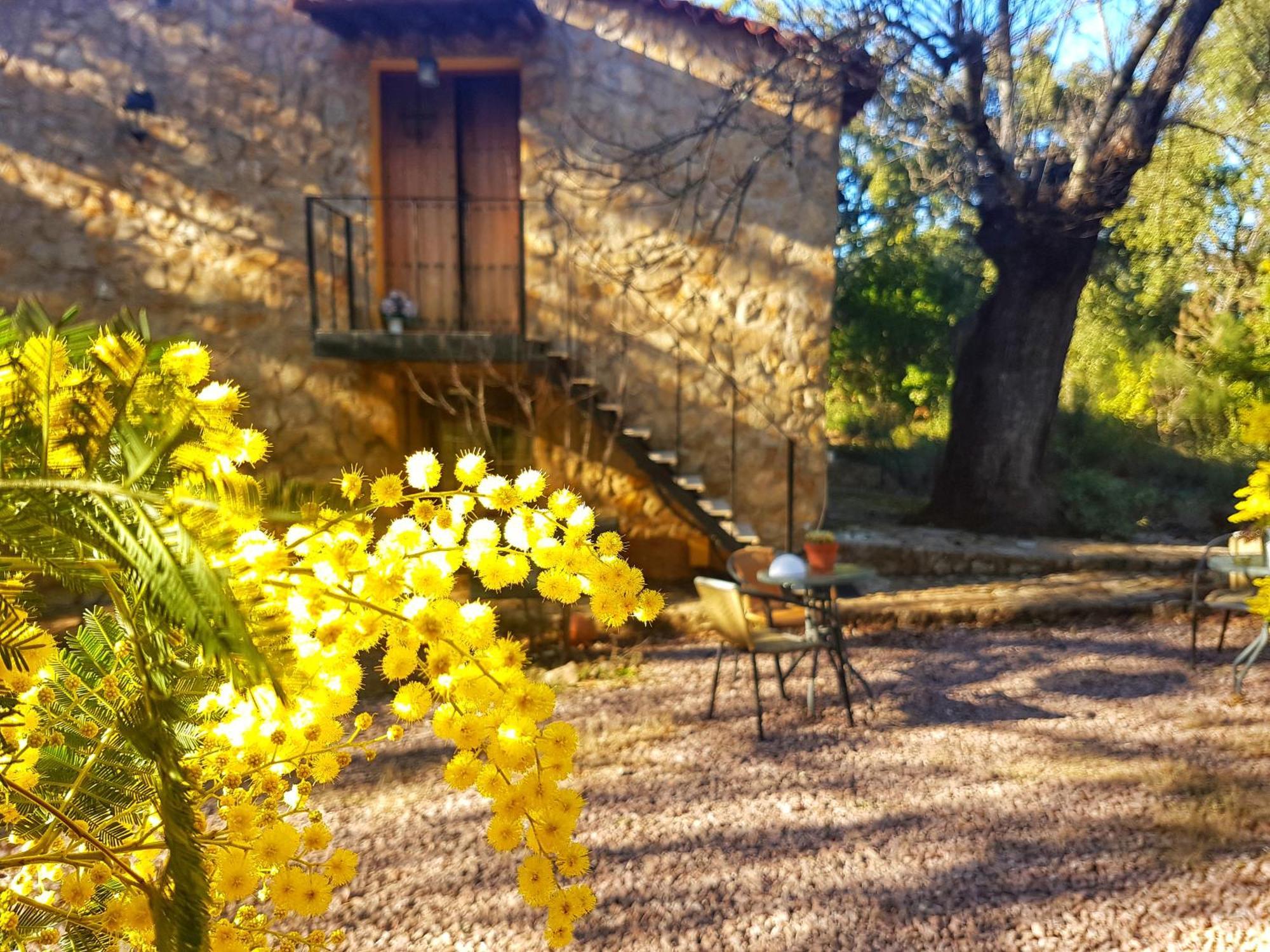 La Virinuela (adults Only) Ferienhaus Galaroza