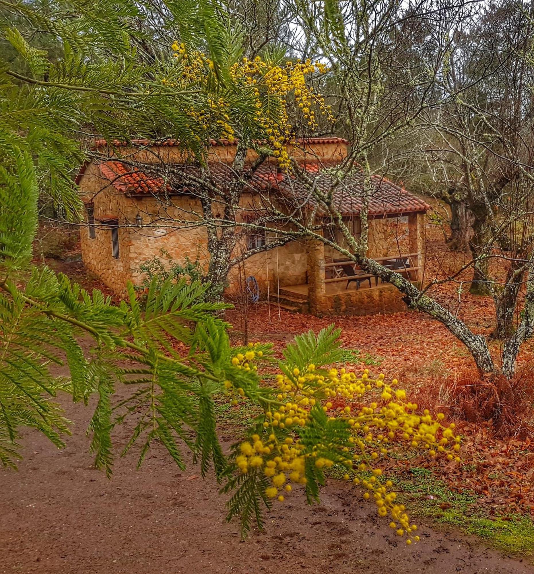 La Virinuela (adults Only) Ferienhaus *