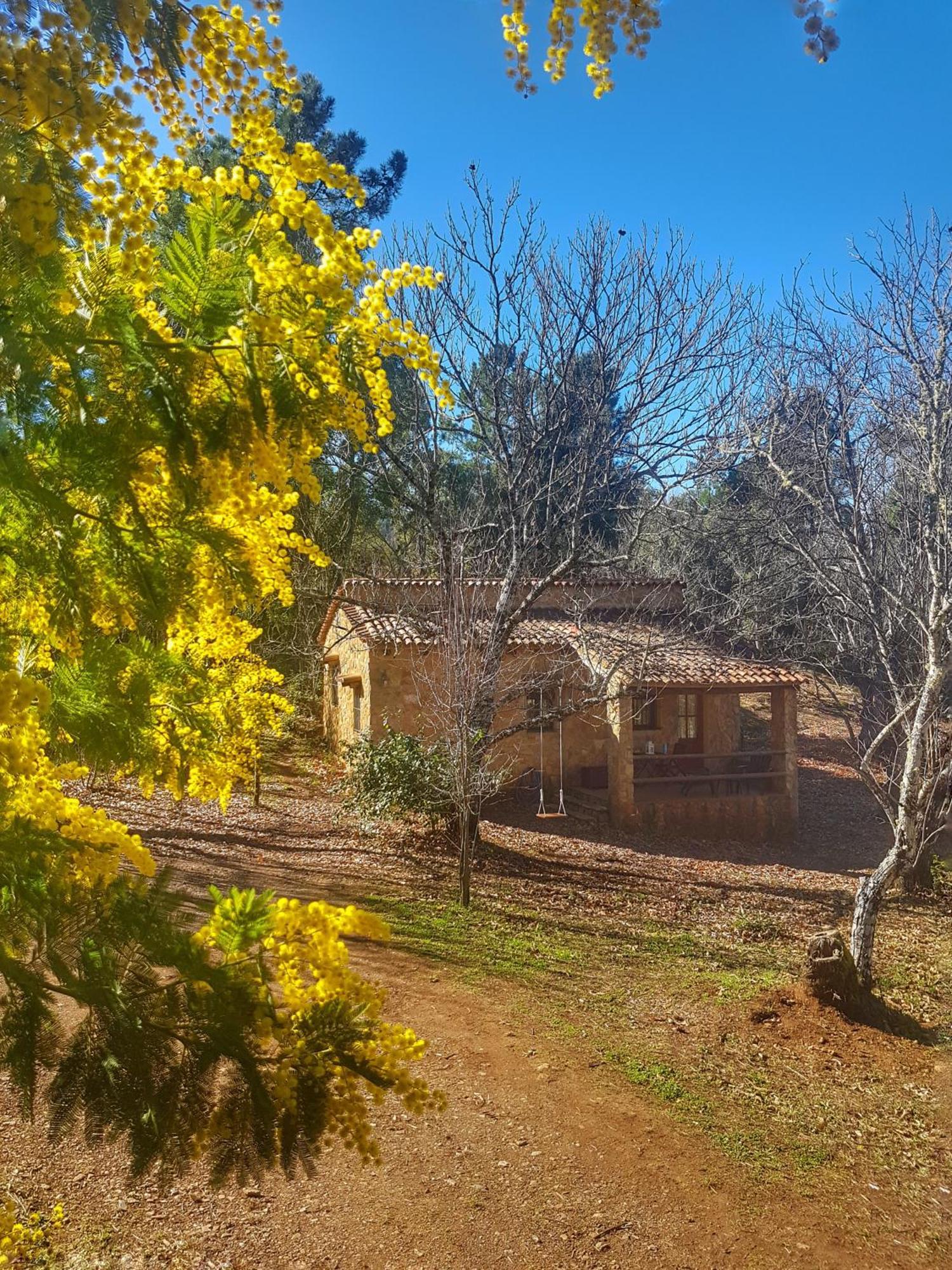 La Virinuela (adults Only) Ferienhaus Galaroza