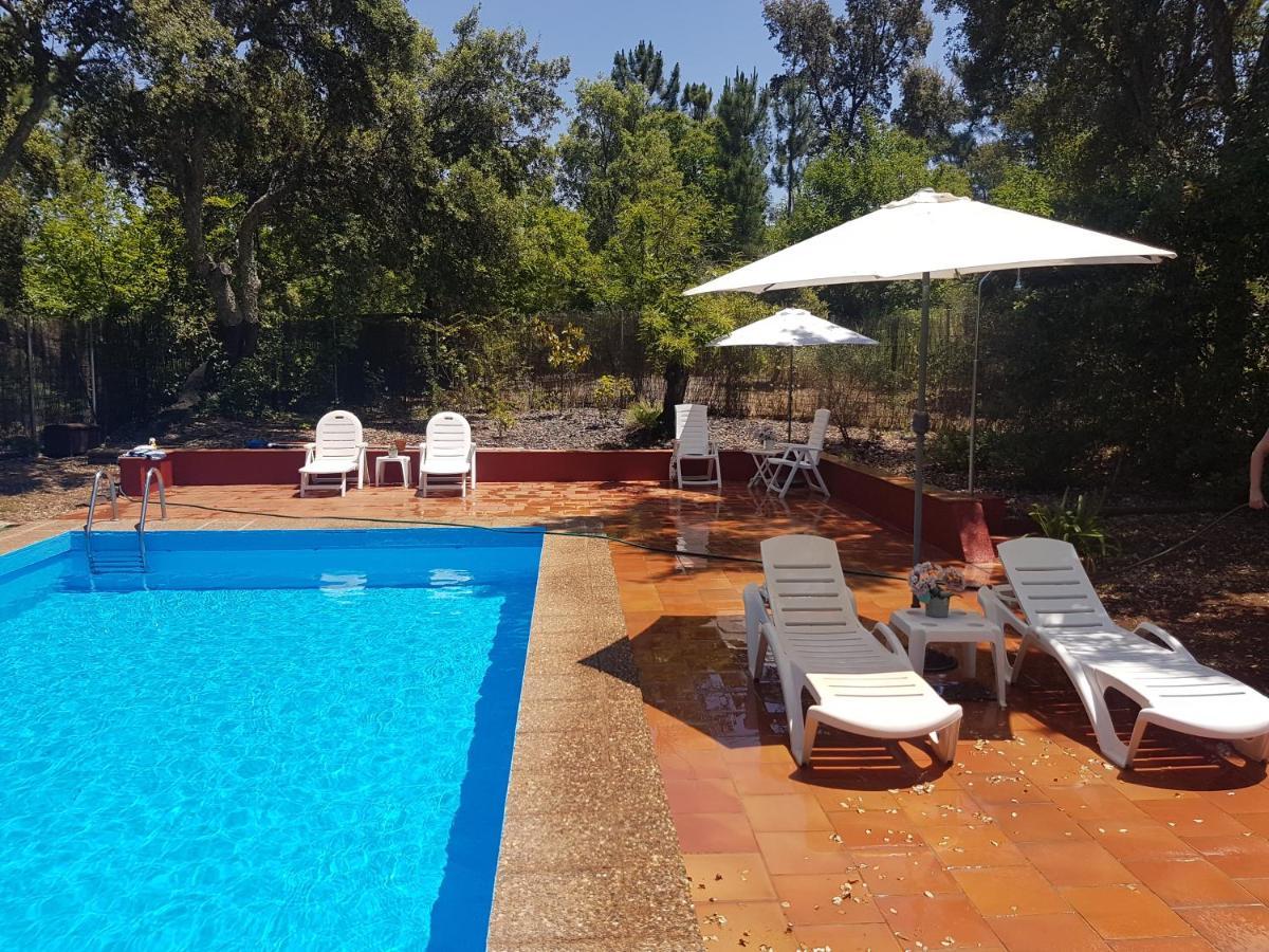 La Virinuela (adults Only) *