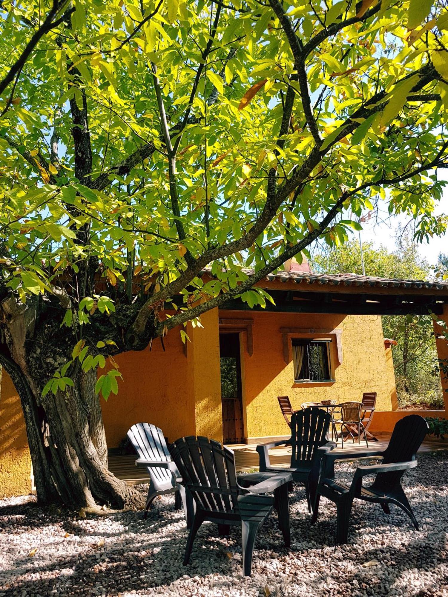 La Virinuela (adults Only) Galaroza