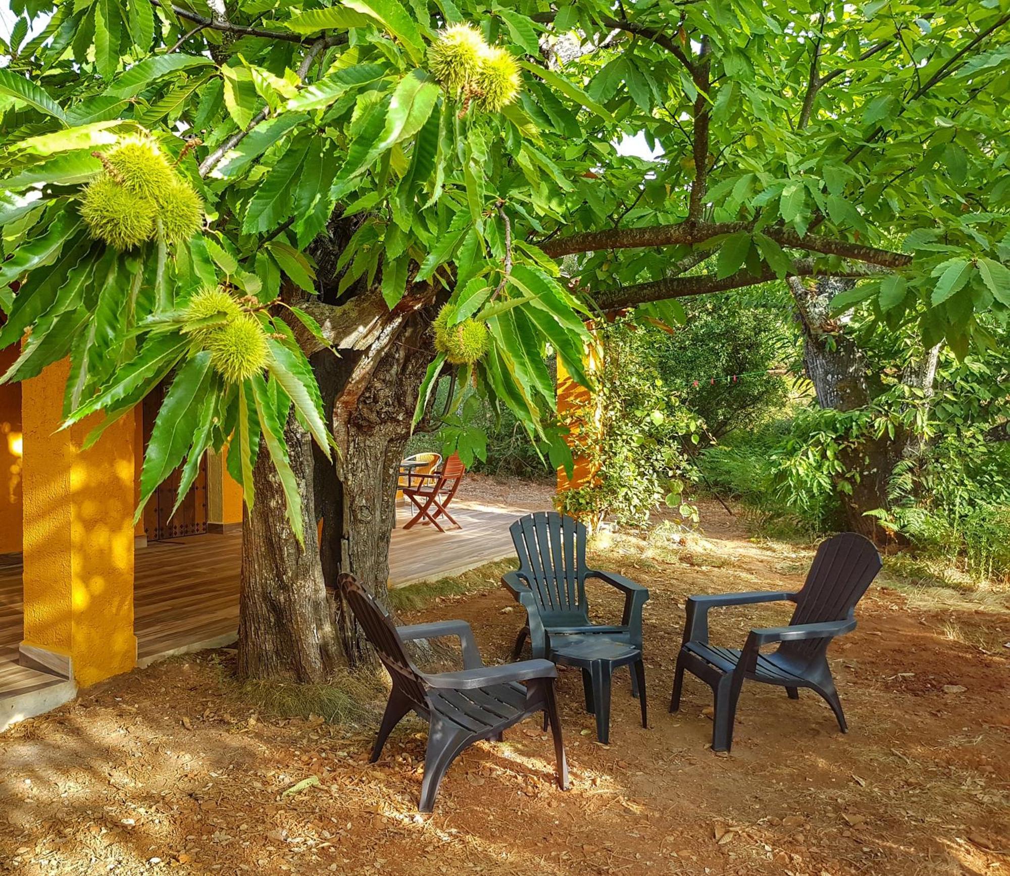 Vakantiehuis La Virinuela (adults Only) Galaroza