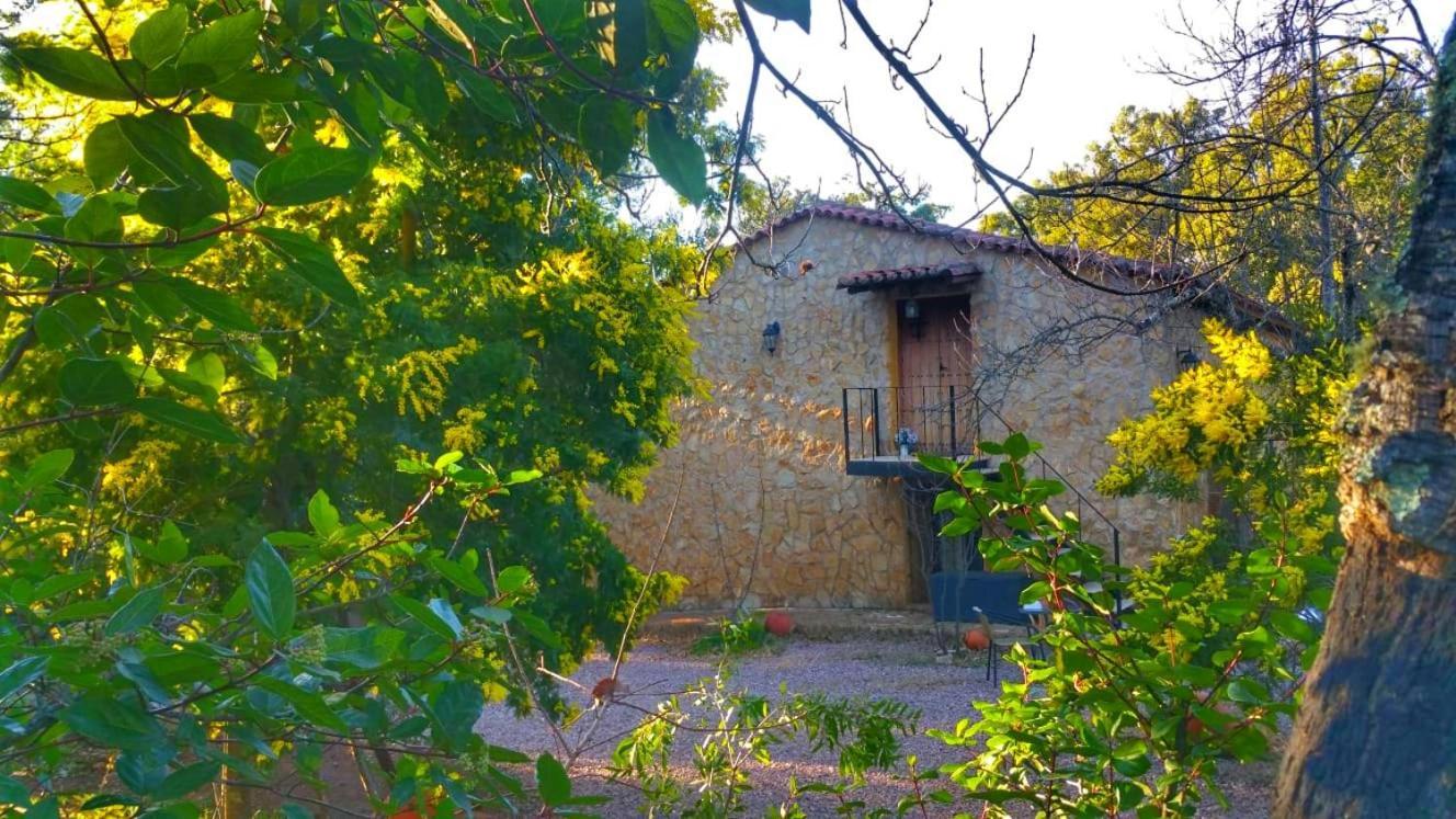 La Virinuela (adults Only)