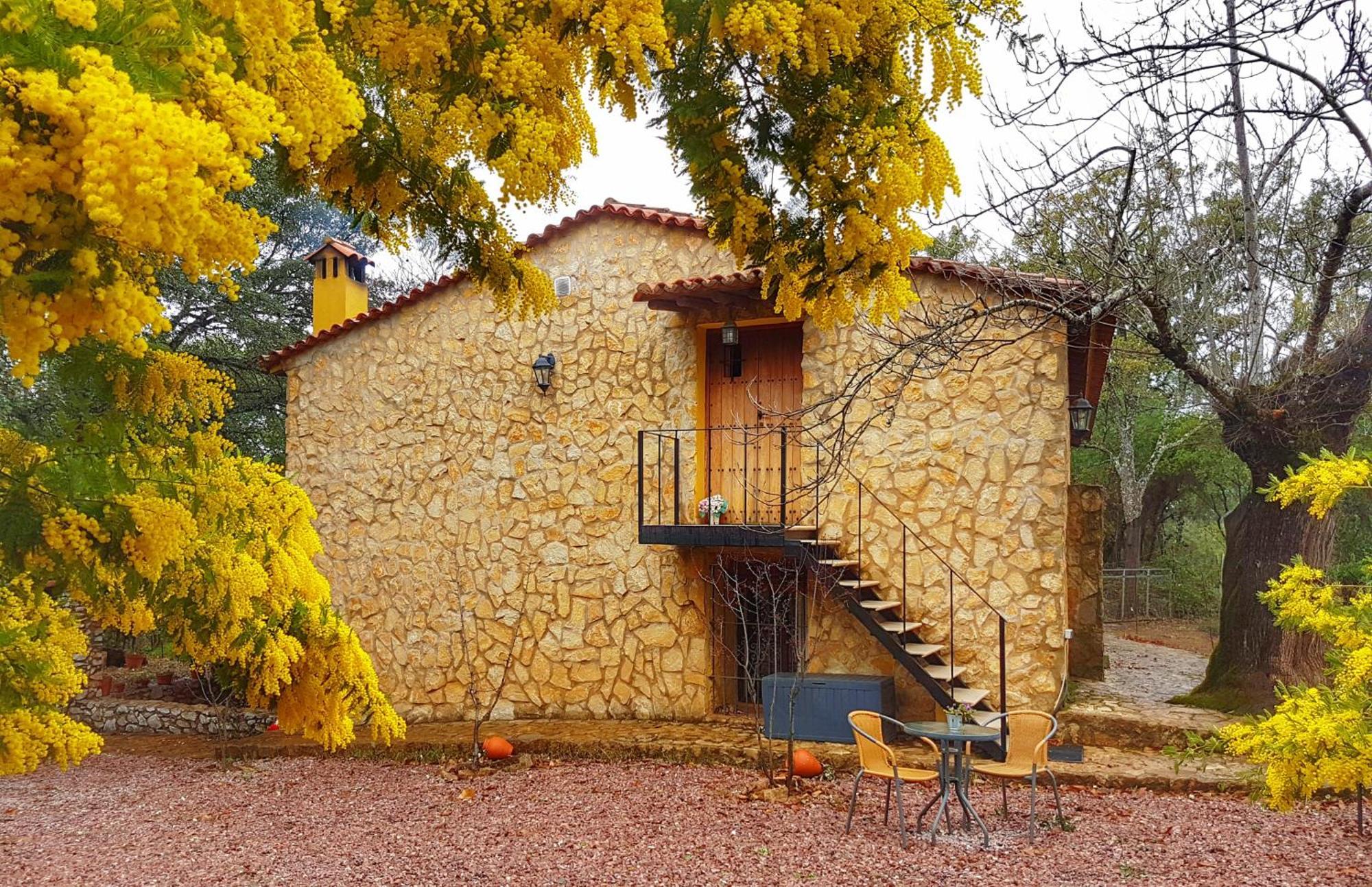 La Virinuela (adults Only) Galaroza