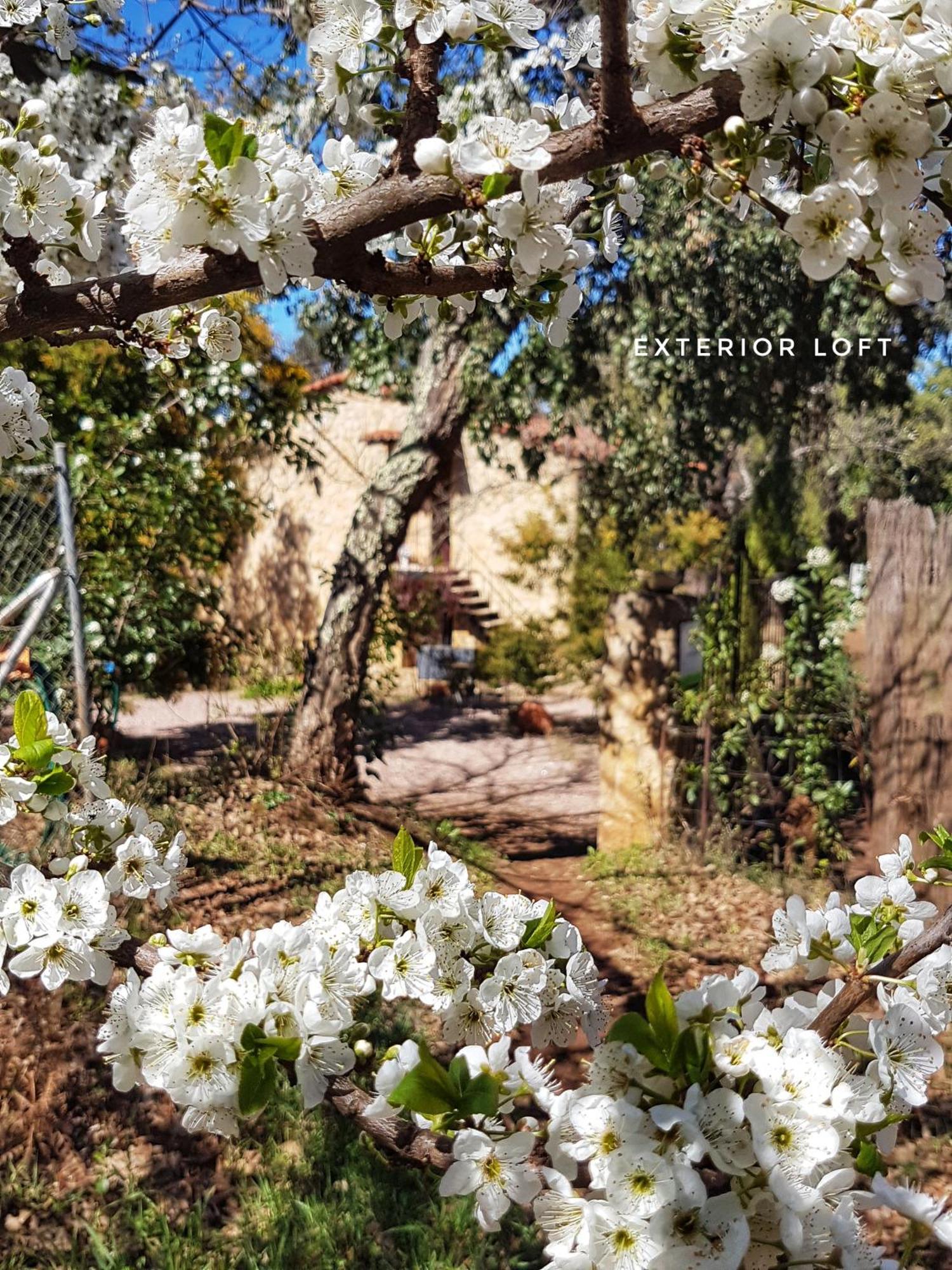 Casa vacanze La Virinuela (adults Only) *