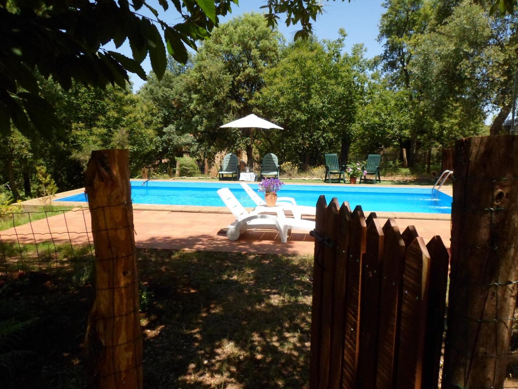 La Virinuela (adults Only)