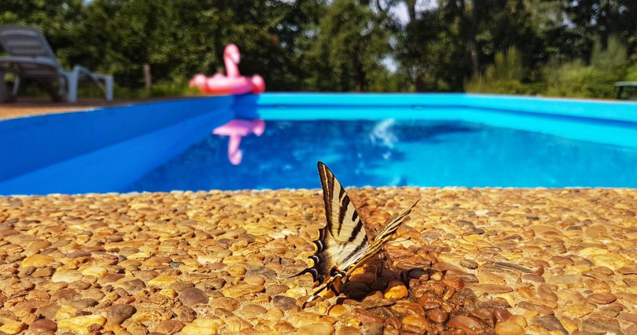 La Virinuela (adults Only) Vakantiehuis Galaroza