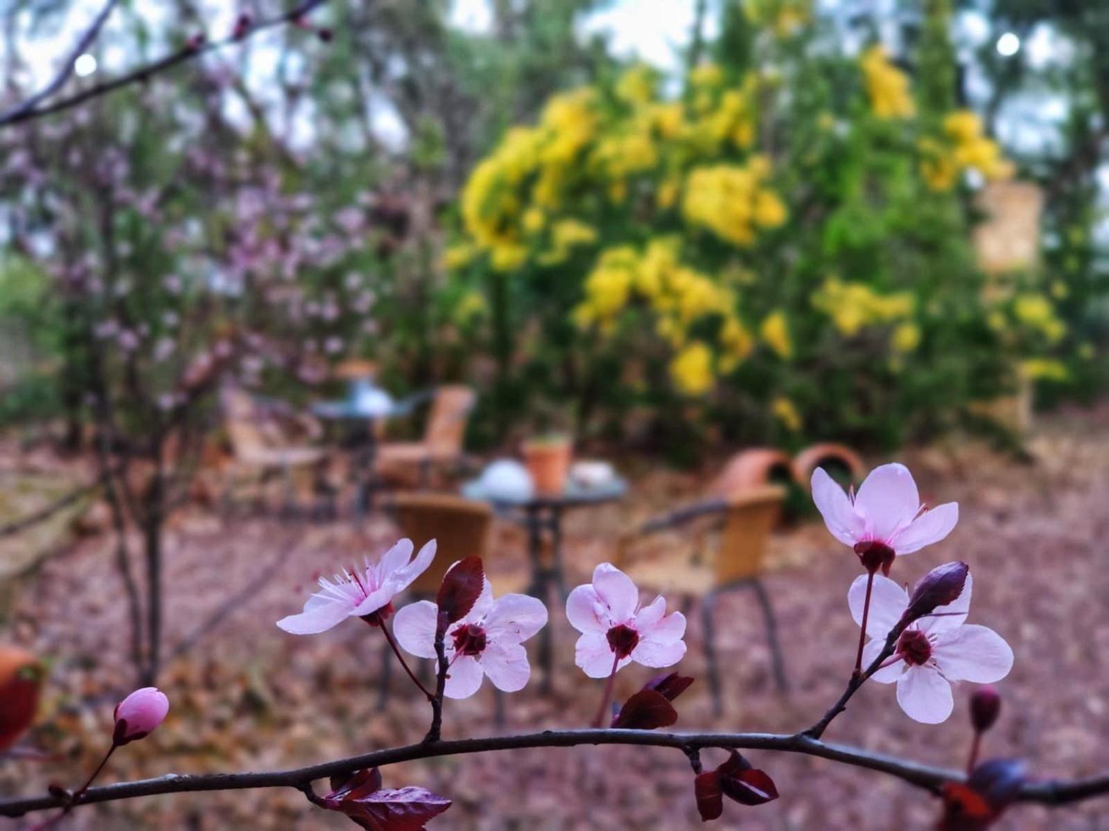 La Virinuela (adults Only) Holiday home Galaroza