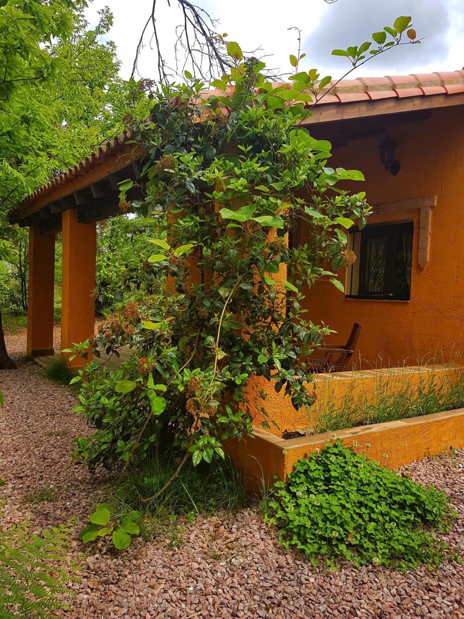 Holiday home La Virinuela (adults Only)