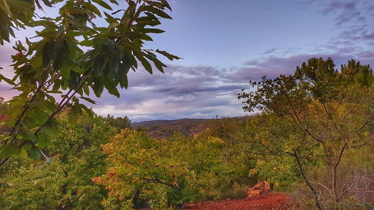 Holiday home La Virinuela (adults Only) *