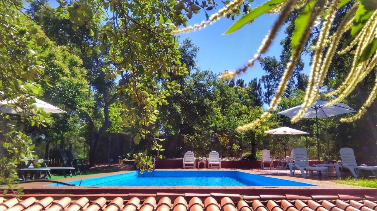 Holiday home La Virinuela (adults Only)